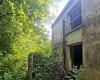 Three abandoned miners cottages left to rot and hidden by woodland up for ... trends now
