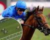 sport news Hidden Law dies just moments after victory in Chester Vase, with the ... trends now