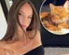 Mystery surrounds popular influencer's missing Bengal cat as she believes she ... trends now