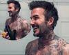 David Beckham, 49, sends fans WILD as shirtless heartthrob takes over wife ... trends now