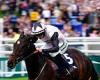 sport news Robin Goodfellow's racing tips: Best bets for Thursday, May 16 trends now