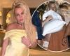 Britney Spears' loved ones 'claim "violent" star should be placed under another ... trends now