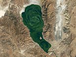 Nevada lake develops mesmerizing green swirls visible from space - and the disturbing reason behind them