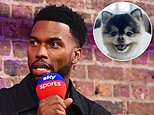 Daniel Sturridge pays £16,000 to settle five-year row with US rapper who found his stolen Pomeranian dog - after ex-Liverpool star 'refused' to cough up the £23,000 reward